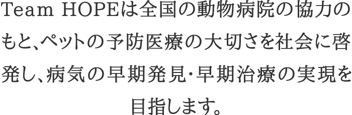 解説
