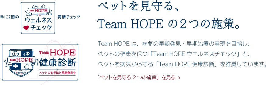 TeamHOPEの2つの施策