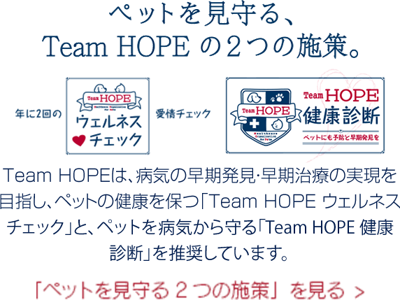 TeamHOPEの2つの施策