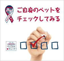 年に2回の愛情チェック ウェルネスチェック