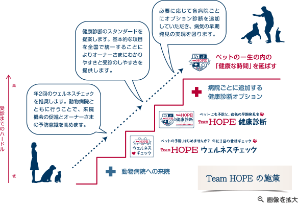 Team HOPE の施策