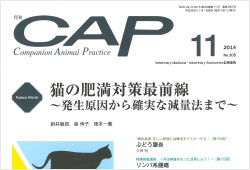 CAP11月号でTeam HOPEが紹介されました