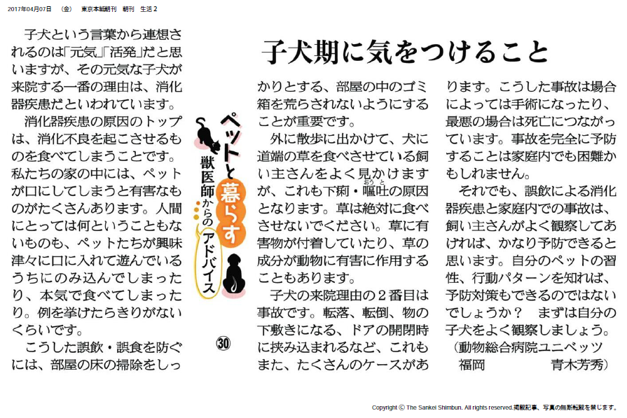 産経新聞コラム【ペットと暮らす 獣医師からのアドバイス（３０）】