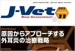 J-VET11月号でTeam HOPEが紹介されました