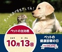 病気の発見・通院の遅れを後悔するご家族さまが6割以上