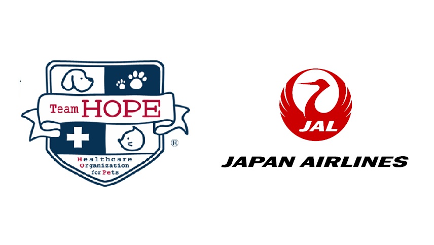 Team HOPE健康診断でJALのマイルがたまってつかえる