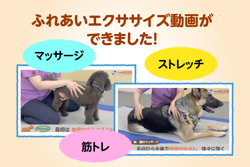 Team HOPEふれあいエクササイズ動画ができました！