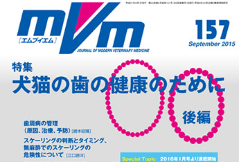 MVM にてTeam HOPEのインタビューが紹介されました