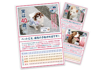 「実は何歳？」ポスターを会員ページからダウンロードできるようになりました
