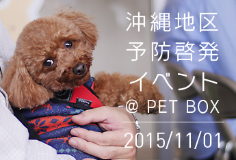 沖縄地区で飼い主さま向け啓発イベントを実施しました