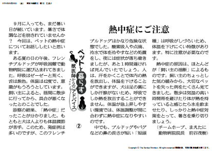 産経新聞コラム【ペットと暮らす　獣医師からのアドバイス（２）】