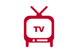 TBS系列　「はやチャン！」で、ウェルネスチェックが紹介されました