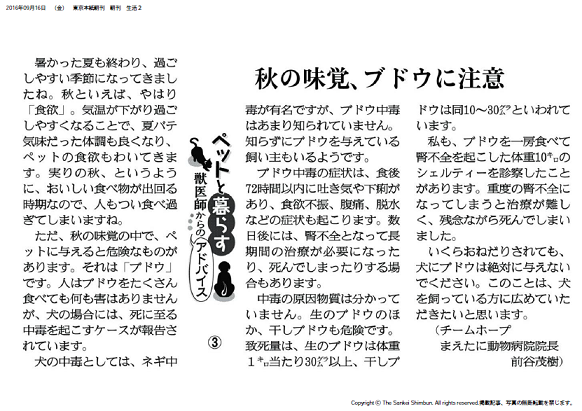 産経新聞コラム【ペットと暮らす　獣医師からのアドバイス（３）】