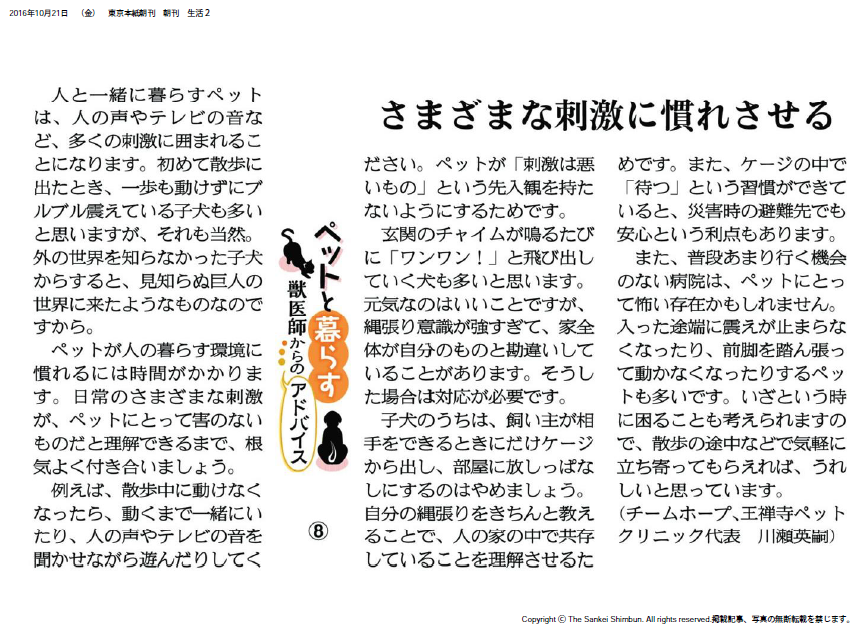 【ペットと暮らす獣医師からのアドバイス（８）】