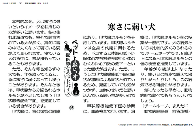 産経新聞コラム【ペットと暮らす 獣医師からのアドバイス（１６）】